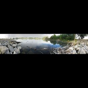 Meet your Posher, Brad